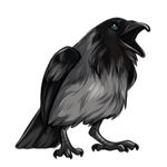 Piebald Raven by TokoTime