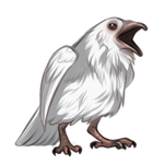 Albino Raven by TokoTime