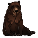 Bear by TokoTime