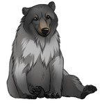 Glacier Bear by TokoTime