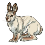 Snowshoe Hare Spring Coat by TokoTime