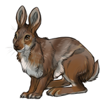 Snowshoe Hare Summer Coat by TokoTime