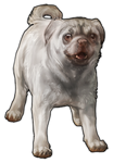 Pug Companion- Albino by TokoTime