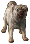 Pug Companion- Cinnamon by TokoTime