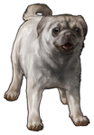 Pug Companion- White by TokoTime