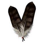 Feathers by TokoTime