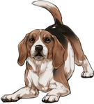 Beagle Companion by TokoTime