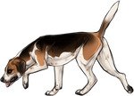 Foxhound Companion by TokoTime