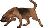 Bloodhound Companion by TokoTime