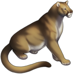 Mountain Lion Companion by TokoTime