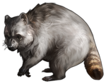 Raccoon Companion- Regular by TokoTime