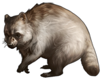 Raccoon Companion- Red by TokoTime