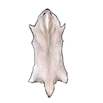 Albino Badger Pelt by TokoTime