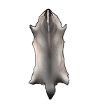 Regular Badger Pelt by TokoTime