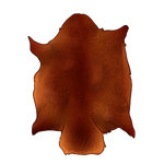 Beaver Pelt- Red by TokoTime