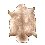 Beaver Pelt- Albino by TokoTime
