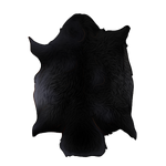 Beaver Pelt- Black by TokoTime