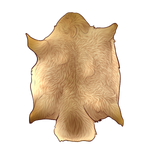 Blonde Beaver Pelt by TokoTime