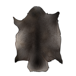 Grey Beaver Pelt by TokoTime