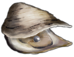 Oyster with Black Pearl by TokoTime