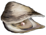Oyster with Rose Pearl by TokoTime