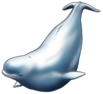 Beluga Companion by TokoTime