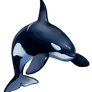 Orca