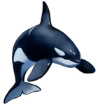 Orca by TokoTime