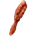 Sea Pen Coral by TokoTime