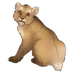 Smilodon Cub Companion - Standard by TokoTime