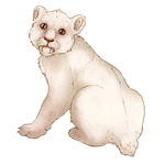 Smilodon Cub Companion - Albino by TokoTime