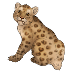 Smilodon Cub Companion - Spotted by TokoTime