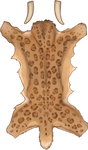 Spotted Smilodon Pelt by TokoTime