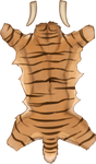 Smilodon Pelt - Striped by TokoTime