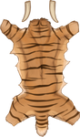 Striped Smilodon Pelt by TokoTime