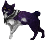Tribe Companion: Lunar Aegis (Starry Night) by TokoTime