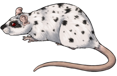 Dalmatian Rat By Tokotime On Deviantart Dalmatian Rat By Tokotime On Deviantart