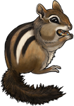 Chipmunk by TokoTime