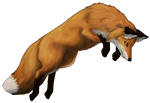 Red Fox by TokoTime