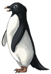 Adelie Penguin by TokoTime