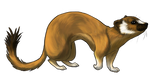 Brown Weasel by TokoTime