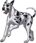 Great Dane - Harlequin by TokoTime