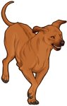 Rhodesian Ridgeback by TokoTime