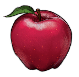 Shiny Red Apple