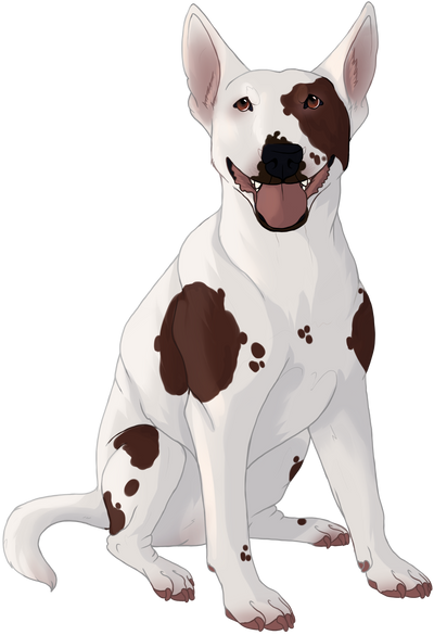 Chocolate hot sale bull terrier
