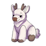 Albino Toko Teddy Deer