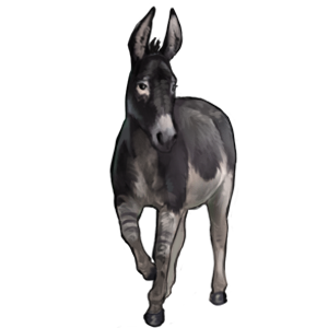 Black Burro by TokoTime on DeviantArt