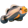 Platinum Clownfish