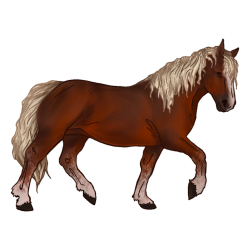 Anope Noriker by TokoTime on DeviantArt