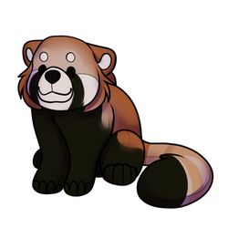 Greying Toko Teddy Red Panda